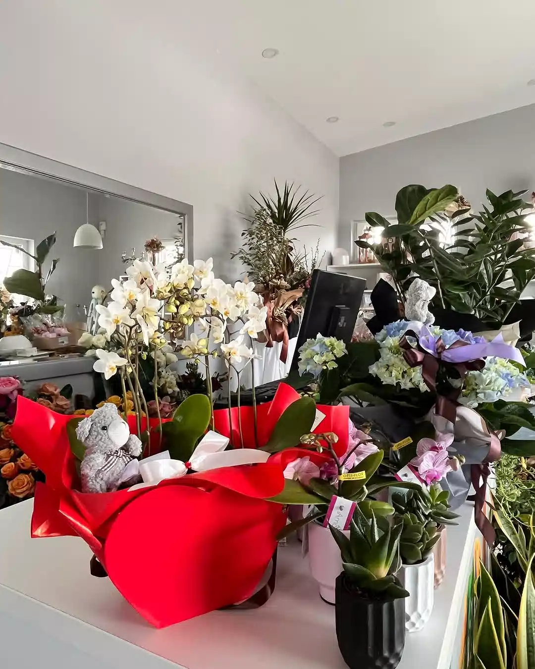     Lončanice - Primjer 3