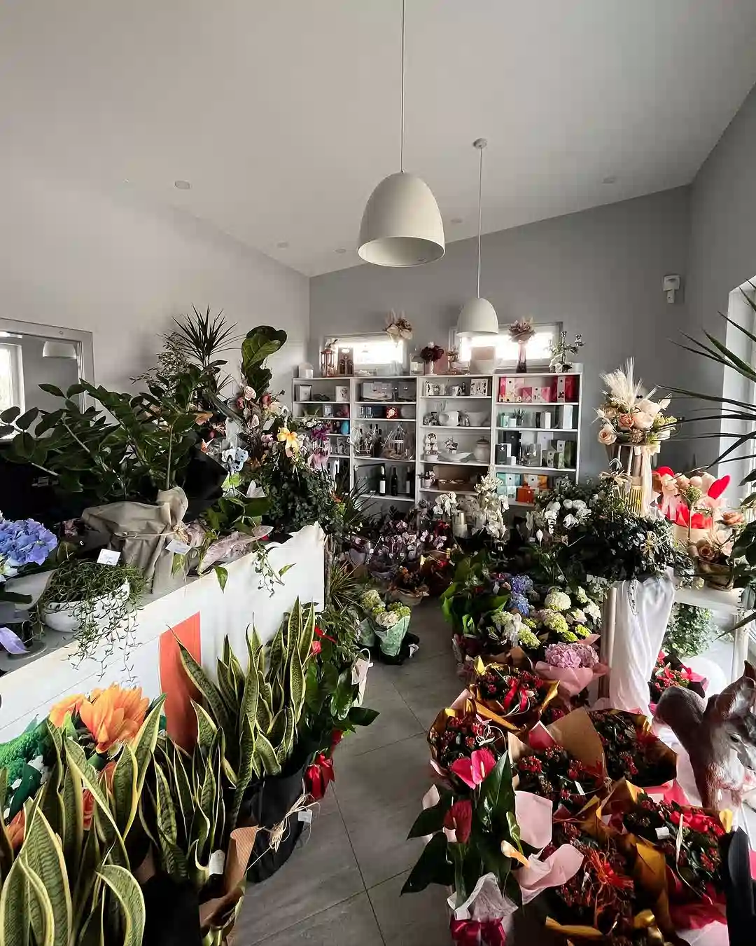     Lončanice - Primjer 9